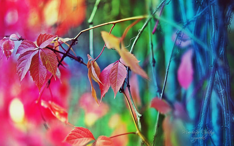 "2?2? ��һ�䣬ȥ΢���ö���??"