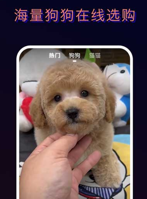 值得推荐的宠物托运平台app有哪些_wishdown.com 值得推荐的宠物托运平台app有哪些_wishdown.com