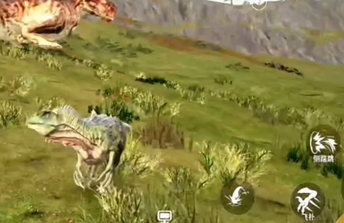 ����������Դ��������ָ��