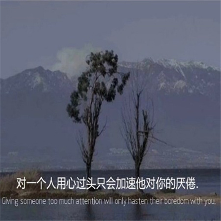 �������ǳƱ�������Ӣ��(��ѡ100��)