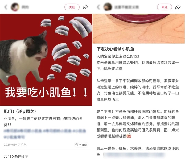 �������ѳ�Ϊ����������㡱 Ӫ��ʦȴ������