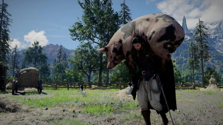 ����ɫɳĮ��֡���������������� ���Ϸ��