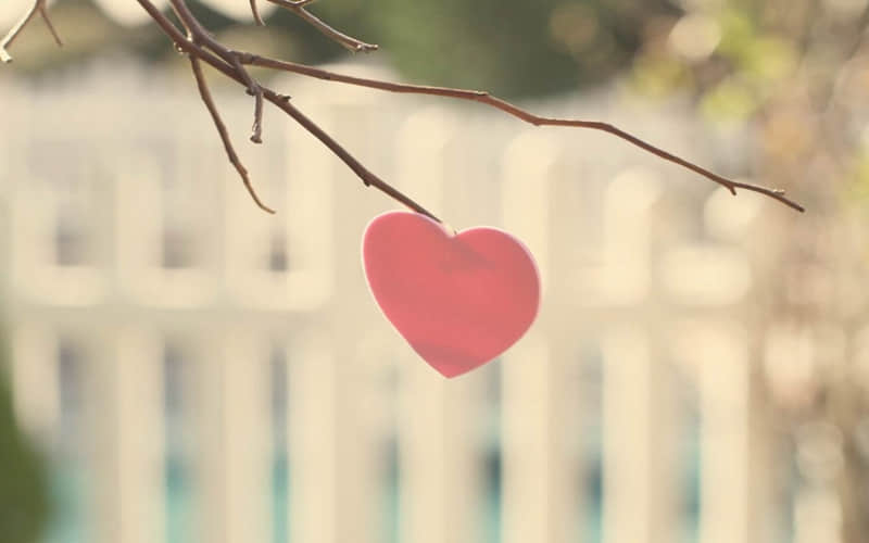 ��2��1�գ��뷢һ����һ��������Ȧ��