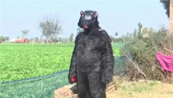 ӡ�Ⱥ���͵����͵���� ũ�������������Cosplay