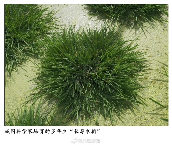 ��һ���������ո�ҹ���ѧ��������������������ˮ����