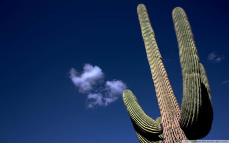 ����Խ������ˡ�Ҫ��??����Խ���㡱