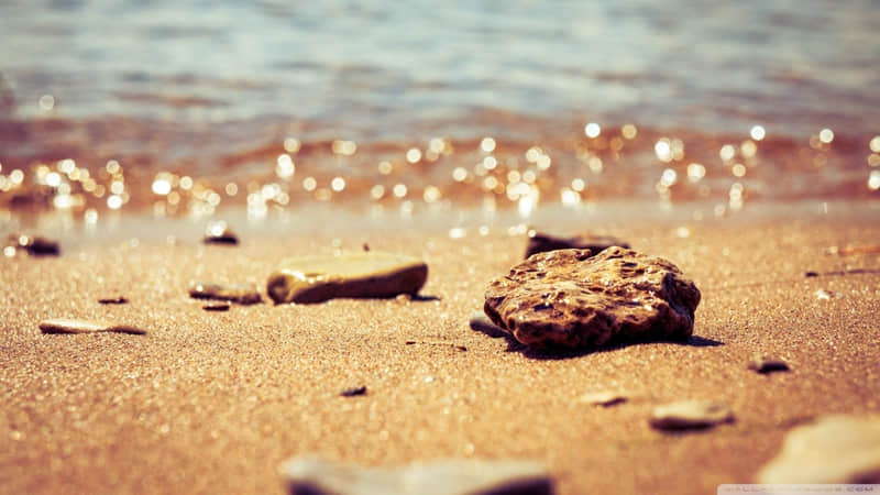 “美丽坏女人的极品权威文案”_wishdown.com “美丽坏女人的极品权威文案”_wishdown.com