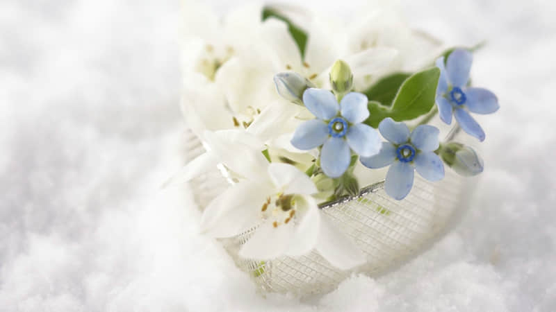 “?????????够你发很久的朋友圈文案”_wishdown.com “?????????够你发很久的朋友圈文案”_wishdown.com