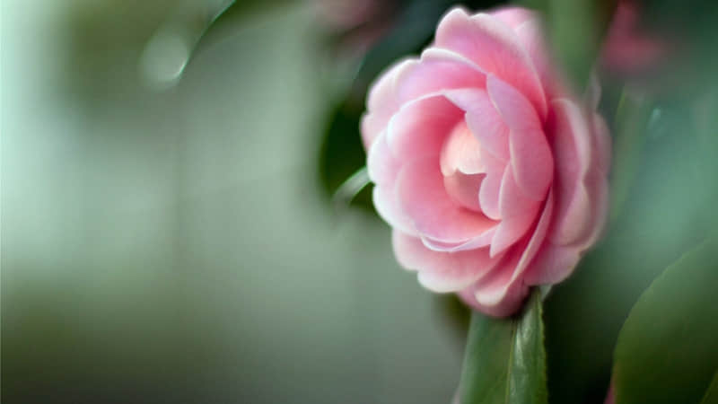 “专治不回消息的阴阳句子??,这么发对方秒回你”_wishdown.com “专治不回消息的阴阳句子??,这么发对方秒回你”_wishdown.com