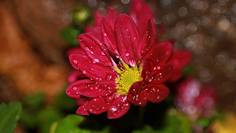 ����һ�䣬�������Ȧ�ᱻ���á�??