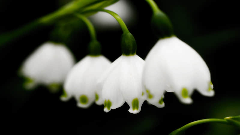 “打工人这样发,笑得乳腺都通畅了”_wishdown.com “打工人这样发,笑得乳腺都通畅了”_wishdown.com