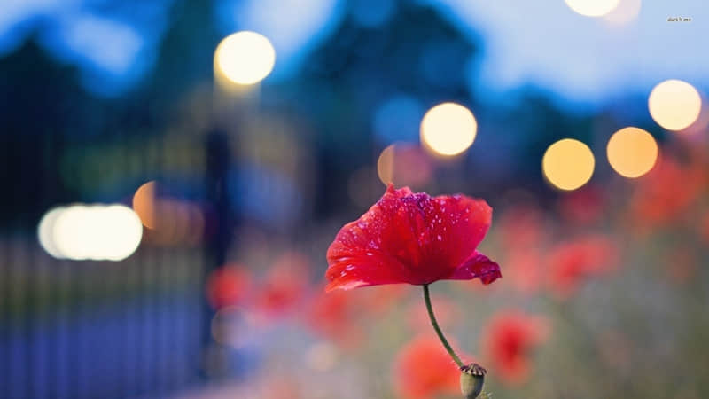 ��������������Ц�����ٶ�ͨ���ˡ�