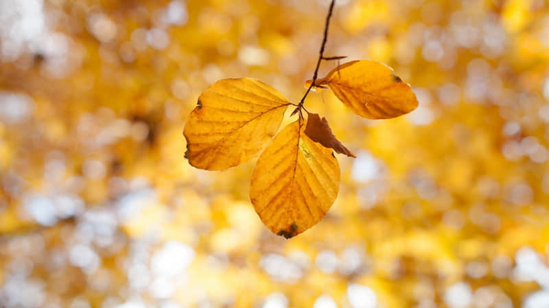 “拿去,你就这样发圈,没人不爱看”_wishdown.com “拿去,你就这样发圈,没人不爱看”_wishdown.com