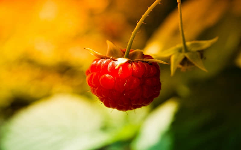 “拿一句,会说话的女孩一开口就很哇塞??”_wishdown.com “拿一句,会说话的女孩一开口就很哇塞??”_wishdown.com