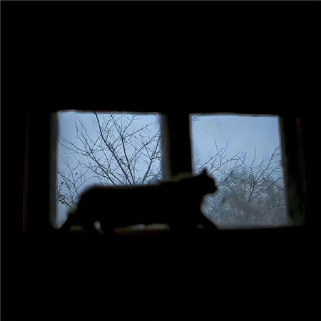 ��ְ�����������˸�(��ѡ100��)