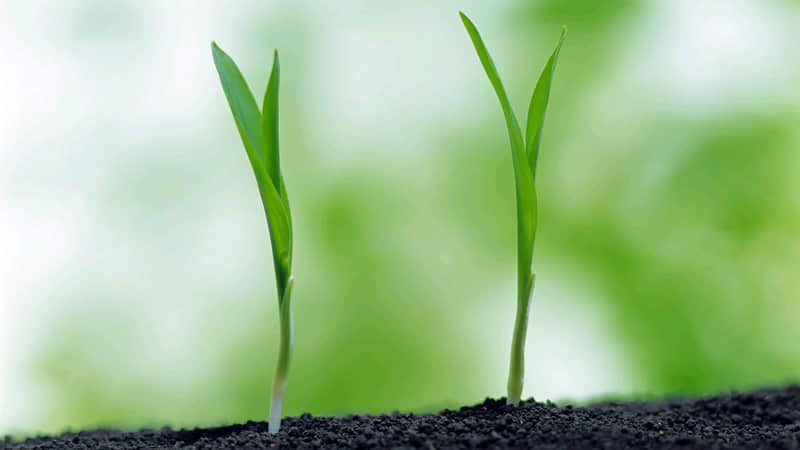 ������??????????? ��ţ���ϰ���ô��