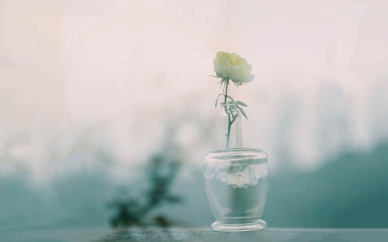 天冷了??????????? ,牛马上班这么发_wishdown.com 天冷了??????????? ,牛马上班这么发_wishdown.com