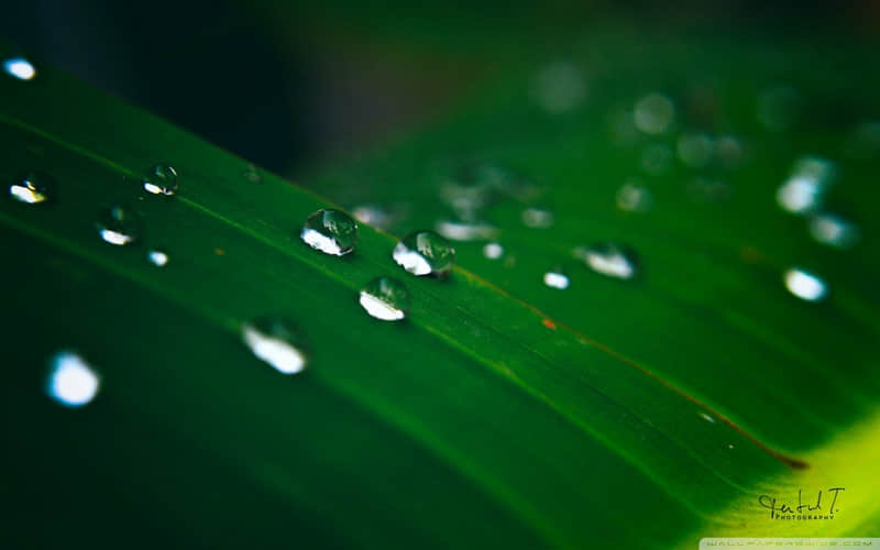 天冷了??????????? ,牛马上班这么发_wishdown.com 天冷了??????????? ,牛马上班这么发_wishdown.com