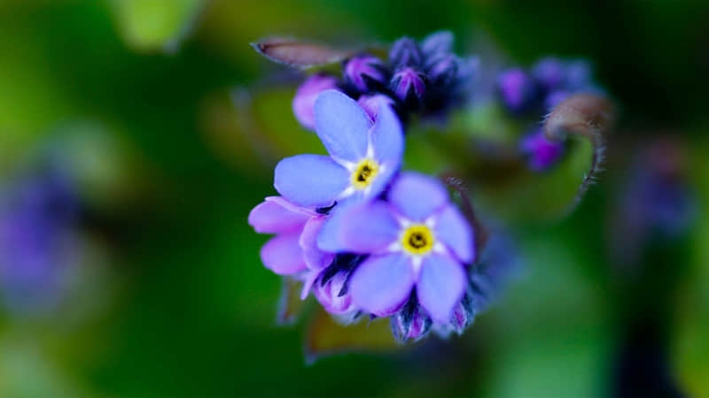 天冷了??????????? ,牛马上班这么发_wishdown.com 天冷了??????????? ,牛马上班这么发_wishdown.com