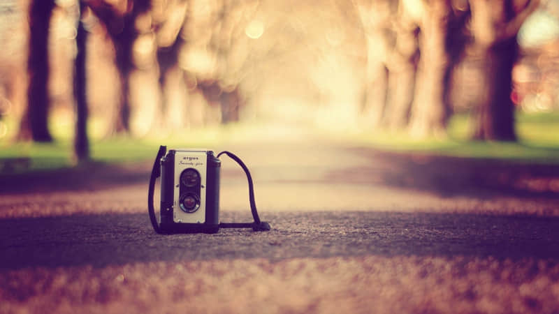 “存起来,过年回家这样发,没人舍得屏蔽你??”_wishdown.com “存起来,过年回家这样发,没人舍得屏蔽你??”_wishdown.com