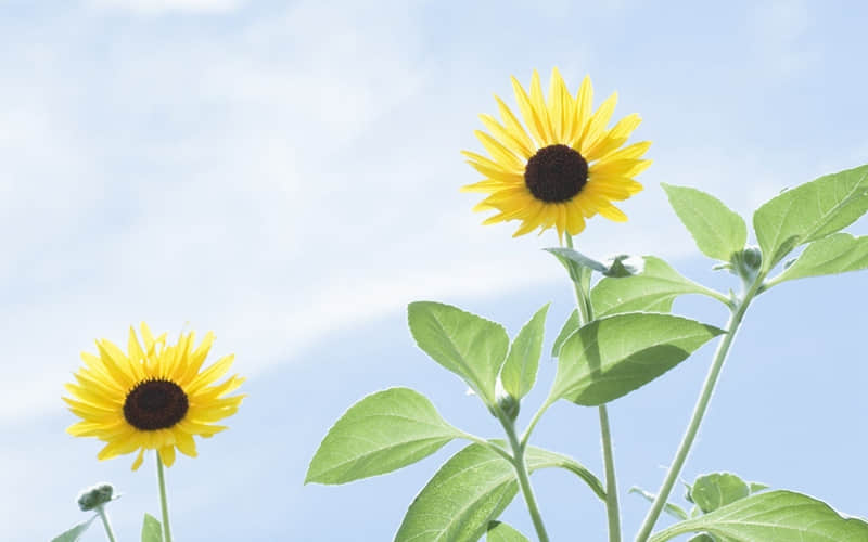 “存起来,过年回家这样发,没人舍得屏蔽你??”_wishdown.com “存起来,过年回家这样发,没人舍得屏蔽你??”_wishdown.com