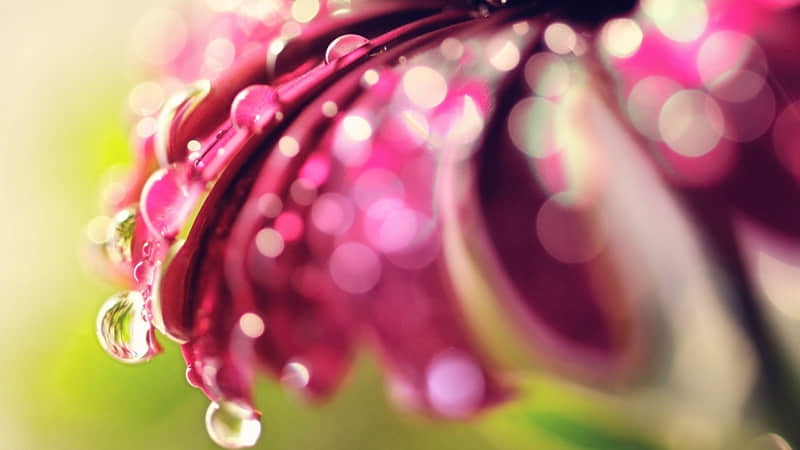 "2?2?/??.???? 立春,朋友圈一定要这样发"_wishdown.com "2?2?/??.???? 立春,朋友圈一定要这样发"_wishdown.com