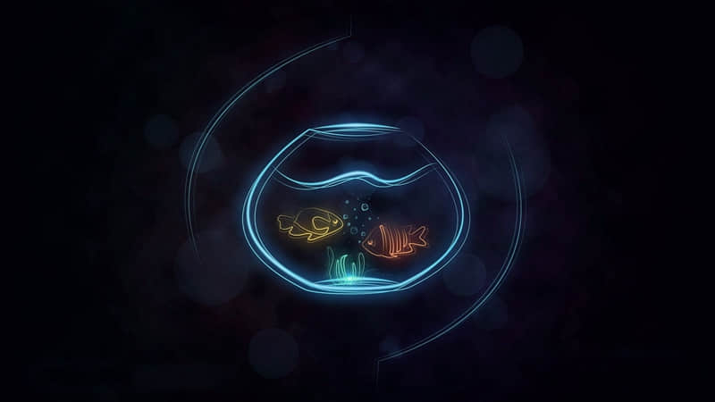 ��2��4������������Ȧ��ô��������󷽡�??