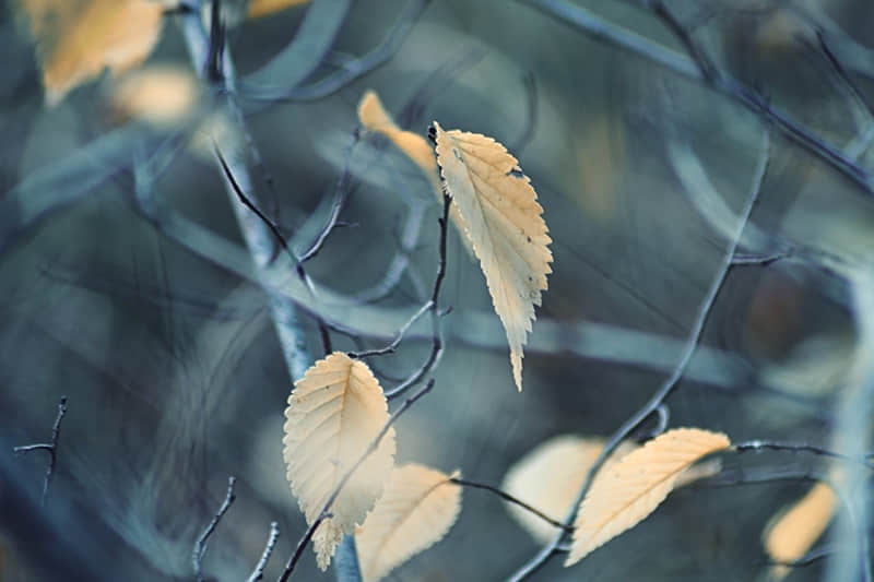 “ ?????????1?? ???? 2?2?第一个节气,立春,请发一条不一样的朋友圈~????100%赞爆 ”_wishdown.com “ ?????????1?? ???? 2?2?第一个节气,立春,请发一条不一样的朋友圈~????100%赞爆 ”_wishdown.com