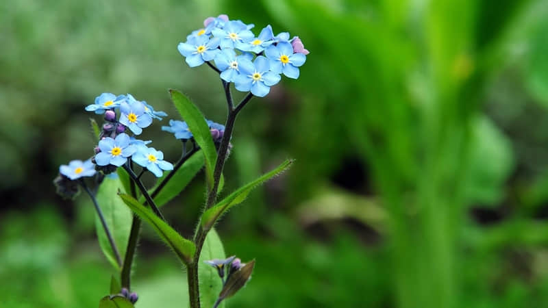 “ ?????????1?? ???? 2?2?第一个节气,立春,请发一条不一样的朋友圈~????100%赞爆 ”_wishdown.com “ ?????????1?? ???? 2?2?第一个节气,立春,请发一条不一样的朋友圈~????100%赞爆 ”_wishdown.com