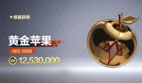 ͷ�Ž���������ʲô��׬Ǯ