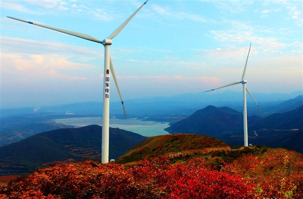 2000��Ԫ�����ҵ�Ͷ����Ͷ������17%��ȫ�������̵�������