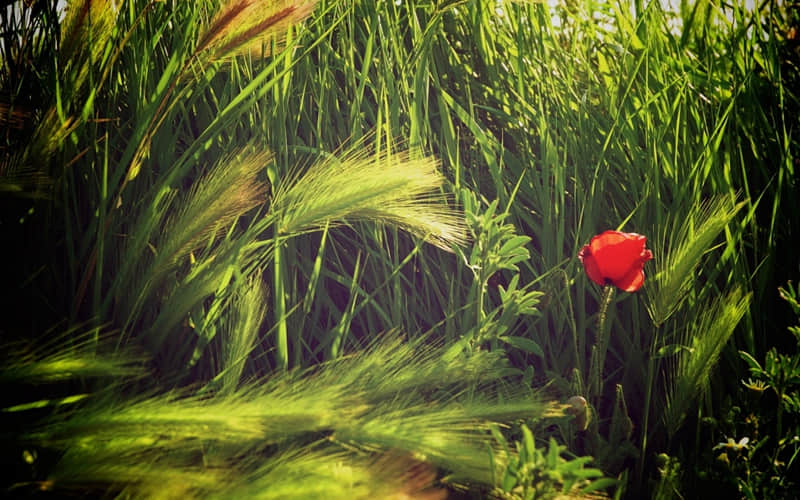 �������Ժ������������~������