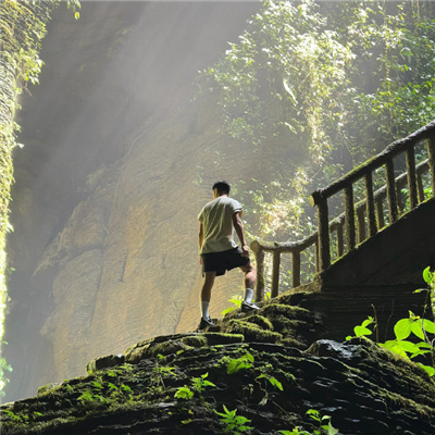 ��Ҷ��������ȫ��������(��ѡ100��)