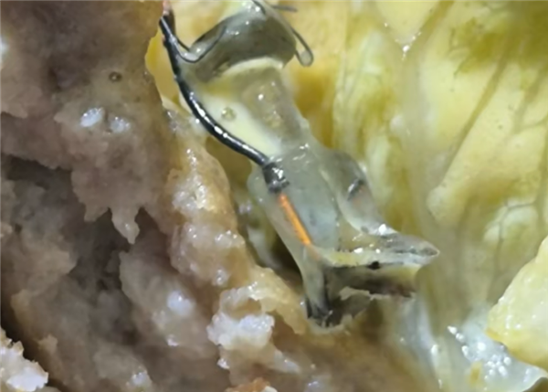 ����ʿ�������سԳ�����ƾߣ������߾��˿� ��ң����ں�ʵ