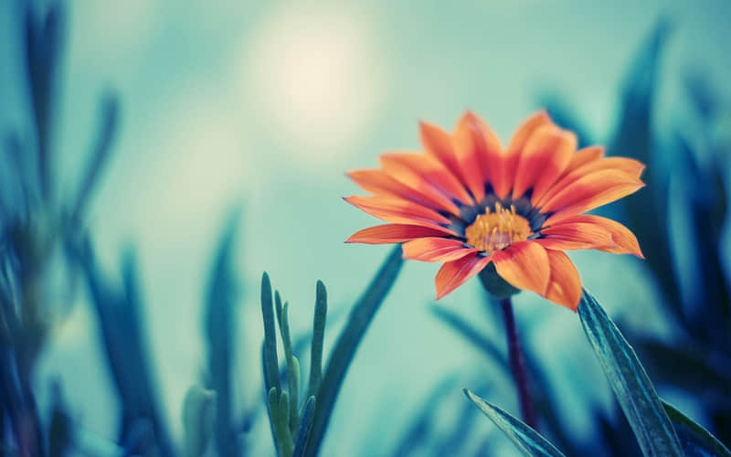 �������˾������������˻���ͳ����С�