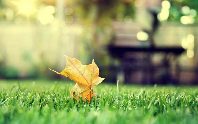 ��˭�������Ҹ�����Ĳز�ס��??��