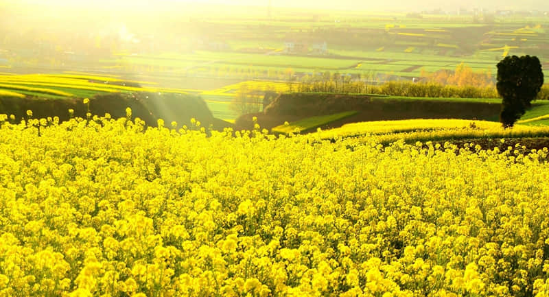 �������������ӣ�����λ������ˡ�