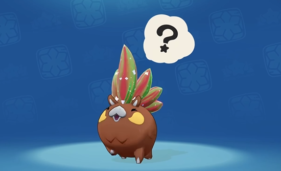 �����������������