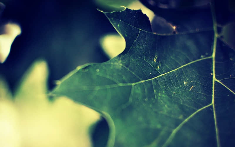 ???????? ??老己,你的文案来了_wishdown.com ???????? ??老己,你的文案来了_wishdown.com