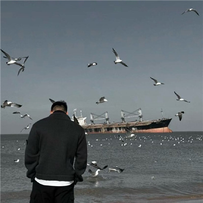 �h��������������������(��ѡ100��)