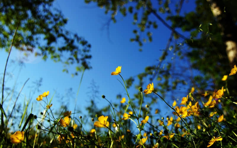 �������ۿ������Ӥζ�����������ѧ��