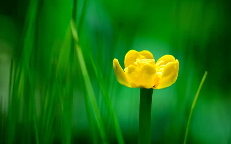 “??????????春节,发一条不一样的朋友圈”_wishdown.com “??????????春节,发一条不一样的朋友圈”_wishdown.com