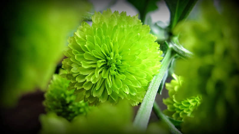 互删前,最后一句直接封神_wishdown.com 互删前,最后一句直接封神_wishdown.com