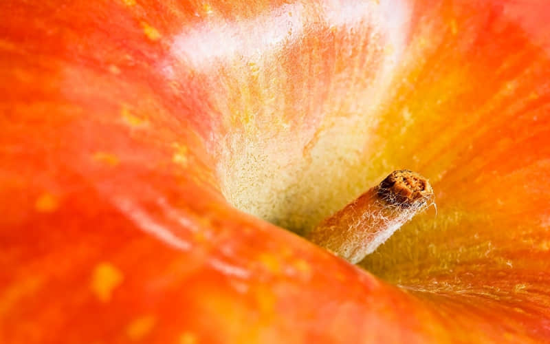 怼人这样说,学习一下吧!_wishdown.com 怼人这样说,学习一下吧!_wishdown.com