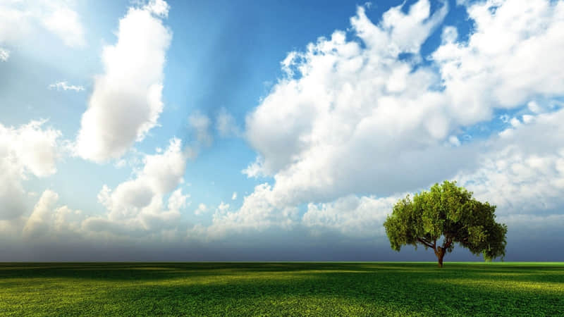 ��������˵��ѧϰһ�°ɣ�