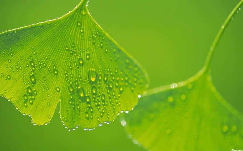 怼人这样说,学习一下吧!_wishdown.com 怼人这样说,学习一下吧!_wishdown.com