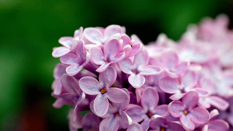 ��ר�β�����Ϣ���������ӣ��öԷ�����㡱