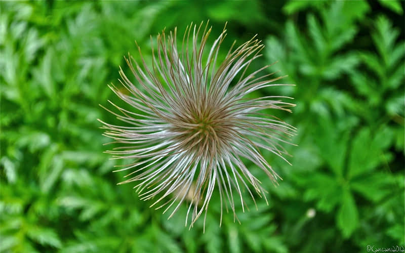 ������Ц��һ����ĸ�Ц�ϻ�??��