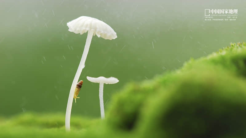 “ ????????????|??????????好友见面 这样发圈很????.?.?”_wishdown.com “ ????????????|??????????好友见面 这样发圈很????.?.?”_wishdown.com