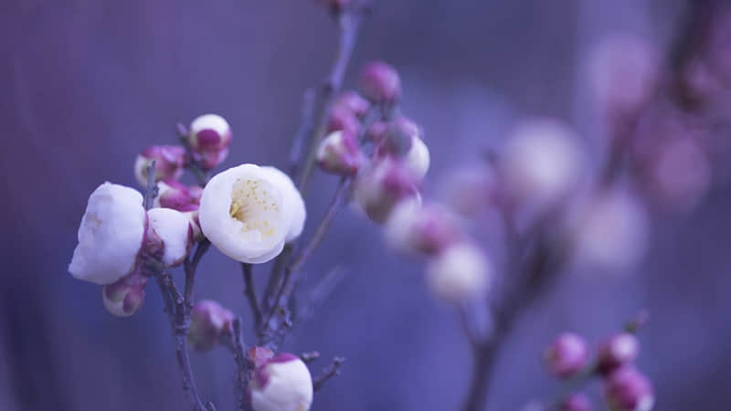 ������������??��һ�ֺ��µ�����Ȧ .?.?